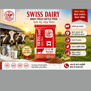 Swiss Dairy High Yield Cattle Feed